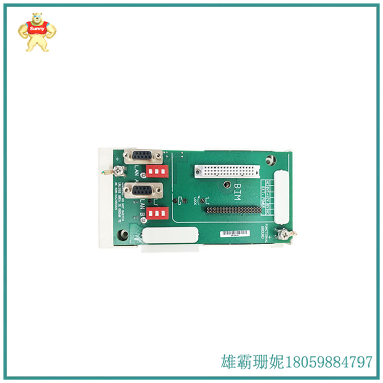 GE   8715-CA-BI  用于 Profibus 和 MODBUS 局域网的 BIM 专用载体