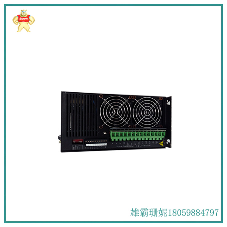 IC800SSI228RD2-CE 