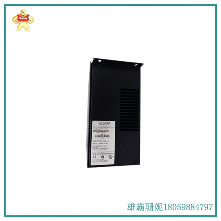 IC800SSI228RD2-CE 