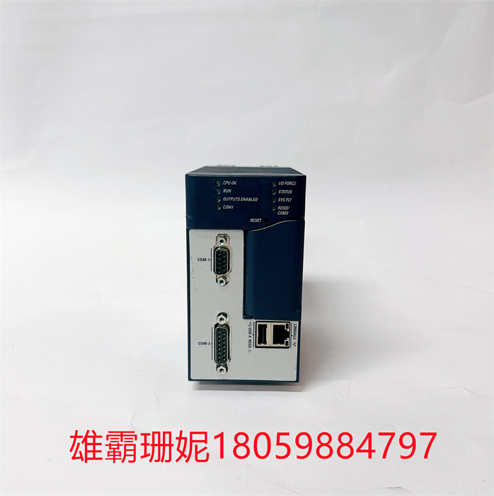 GE IC695CPE310-ABAB  通用继电器系统电源模块