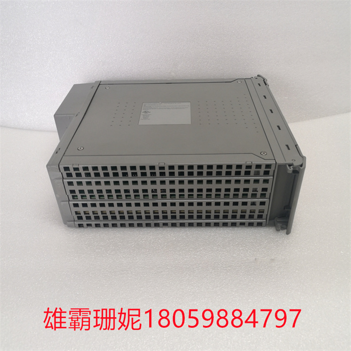 ICS TRIPLEX T8110B