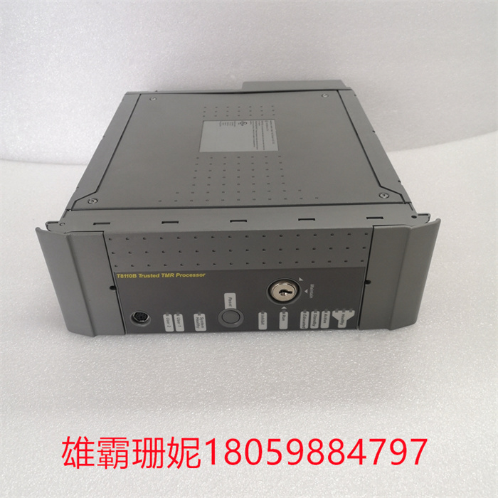 ICS TRIPLEX T8110B