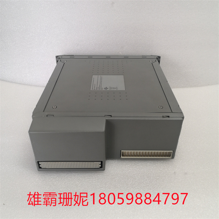 ICS TRIPLEX T8110B