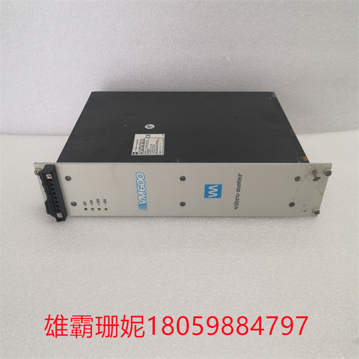 Vibro-meter VM600 RPS6U 200-582-200-011  输入/输出卡备件