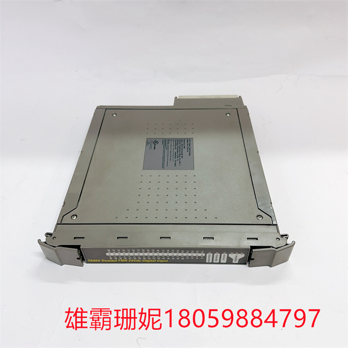 ICS TRIPLEX T8403