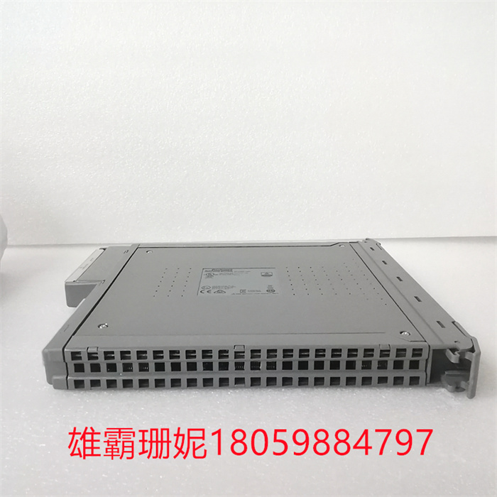 ICS TRIPLEX T8461C