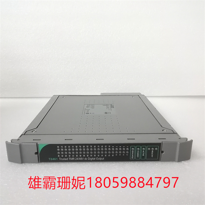 ICS TRIPLEX T8461C