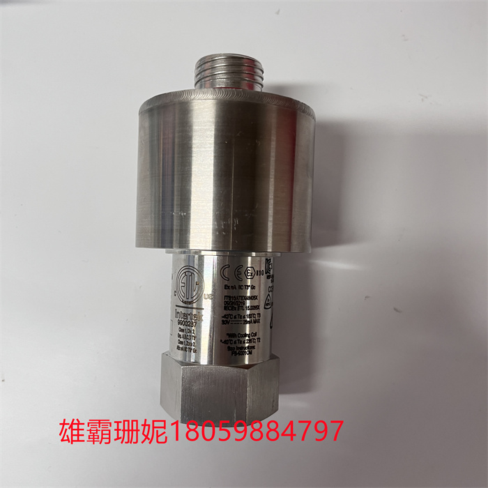 GE RS-FS-9001 362A1052P404 (1).jpg