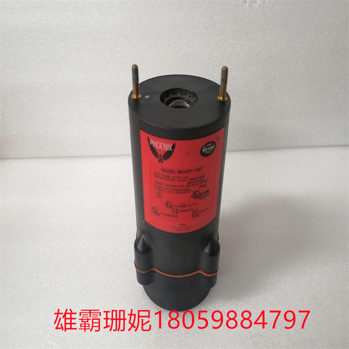 FIREYE 85UVF1-1QD  火焰检测器