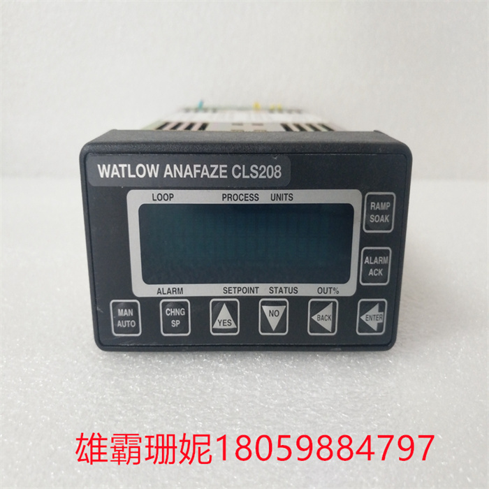 ANAFAZE CLS208  WATLOW 系统模块