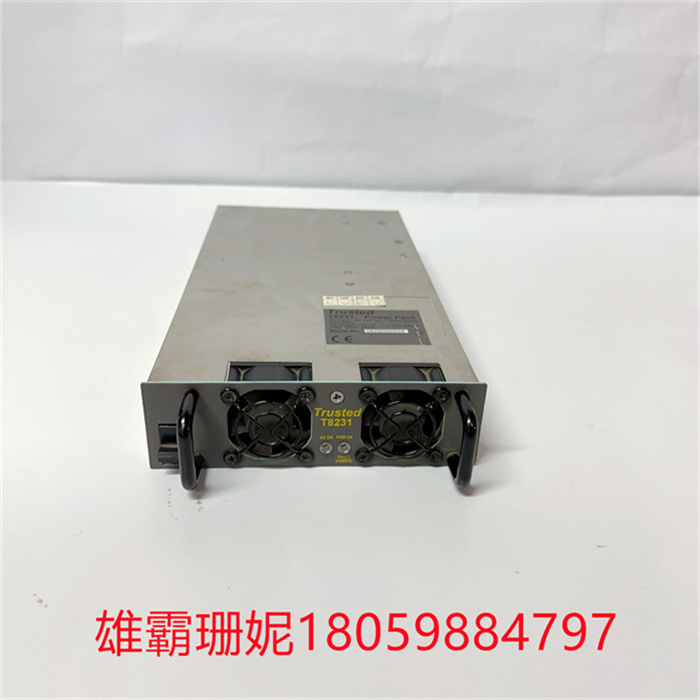 T8231  ICS TRIPLEX模拟输出模块