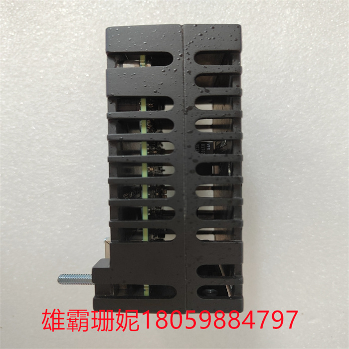 IS220PRTDH1BC 336A5026ADP13 GE  控制处理器模块