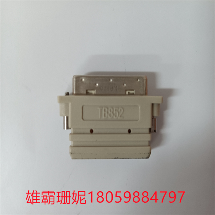 TB852 3BSC950263R1 ABB 电源处理器模块