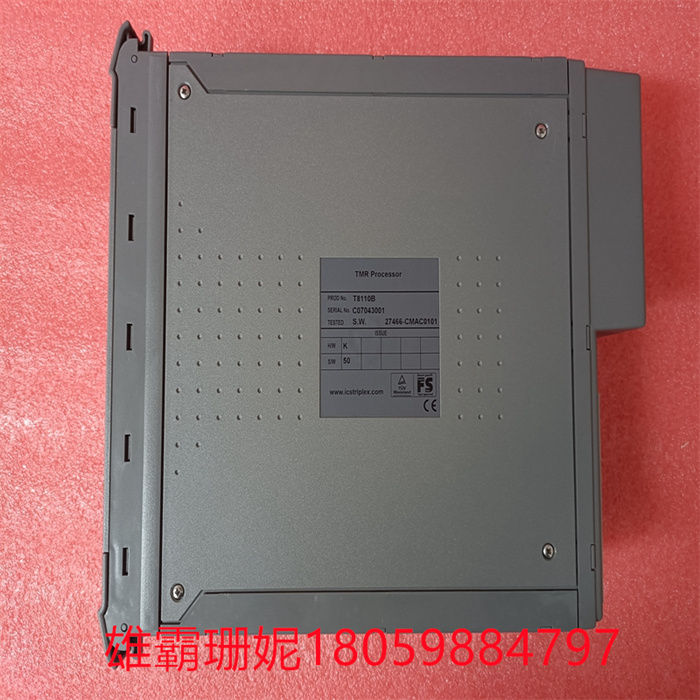 T8110B  ICS TRIPLEX  工业自动化