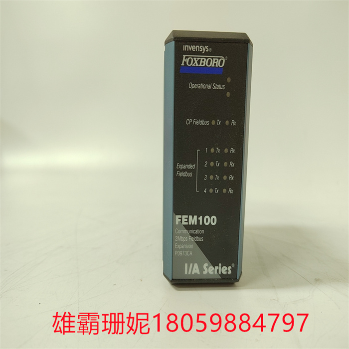 FOXBORO FEM100 P0973CA  PLC模块