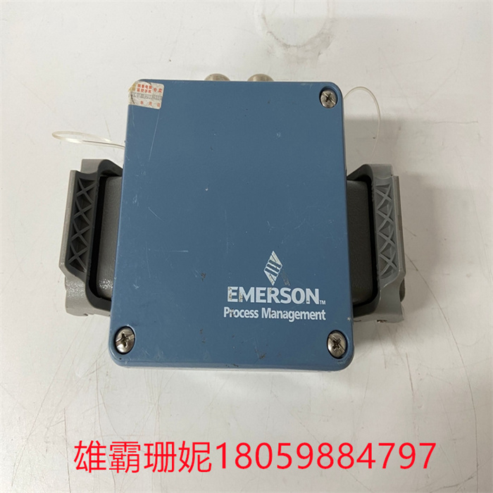 EMERSON	A3120022-000 双通道轴承振动监测仪