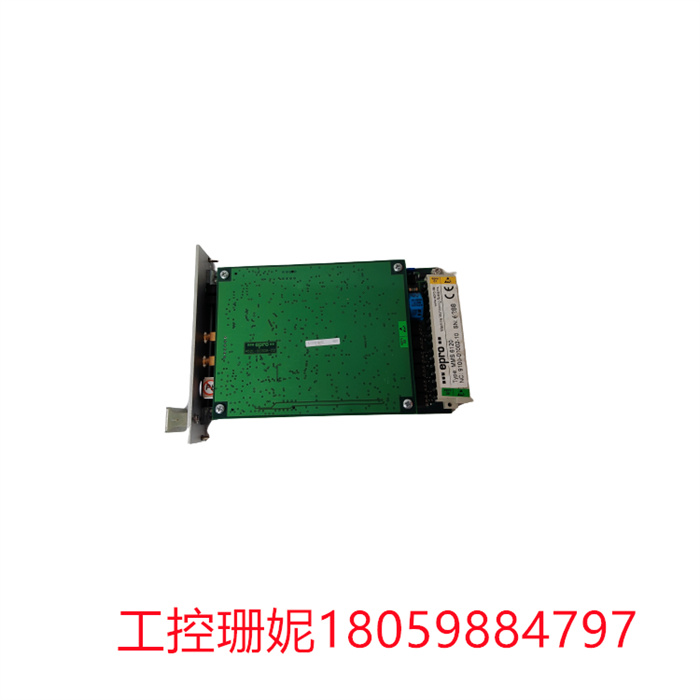 EPRO MMS6120 9100-00002-10 双通道瓦振测量模块，监测轴承振动。