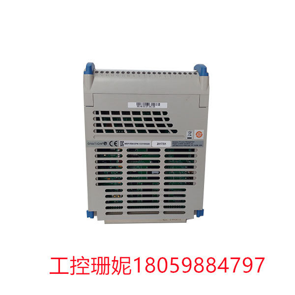 1C31194G03  EMERSON   数字转换器