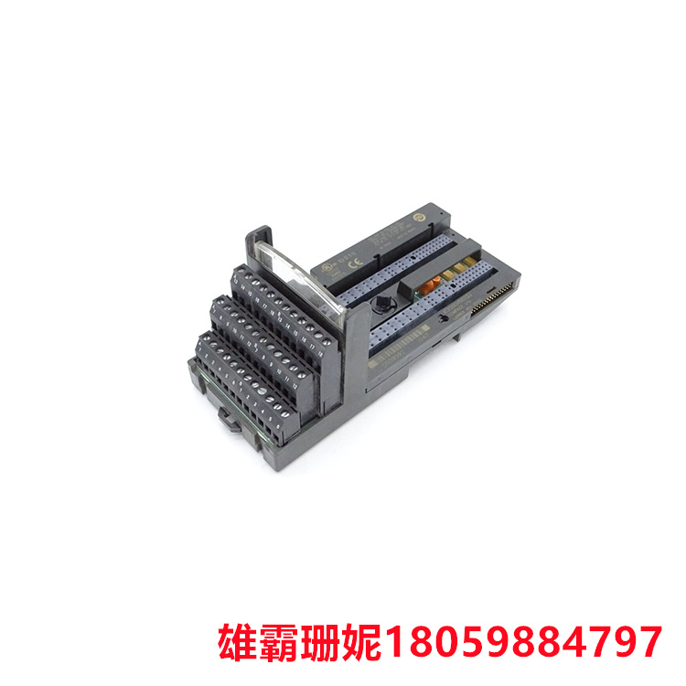 IC200CHS022  紧凑型I/O载体模块  具有多种输入和输出类型