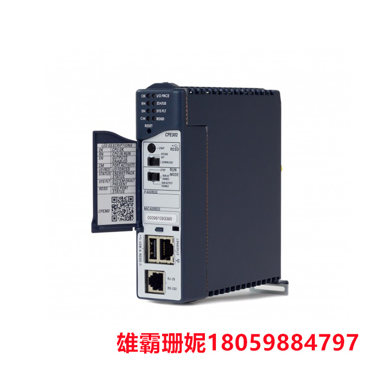 IC695CPE302  中央处理器  负责执行计算机程序的指令和处理数据