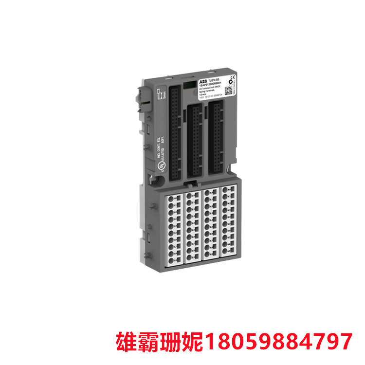 TU516--1SAP212000R0001   I/O 终端单元  用于接收和发送数据