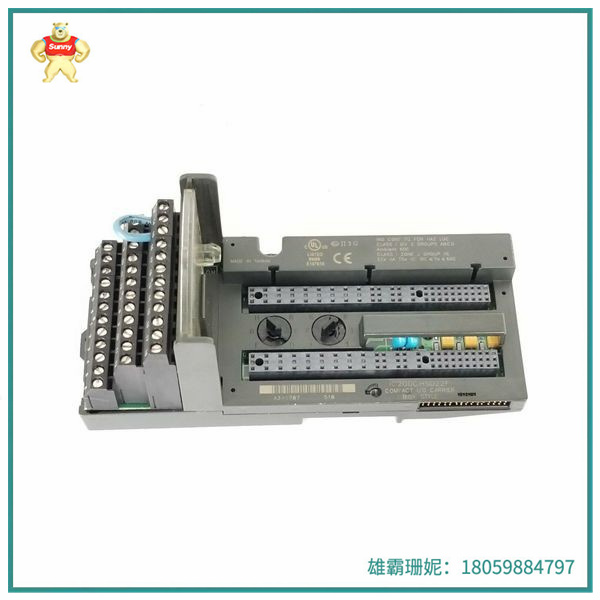 IC200CHS002M  盒式 I/O 载体 支持最多 32 个输入输出点